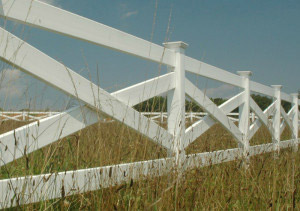 Cross buck fence
